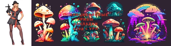 MDMA Premium VHQ Бугульма