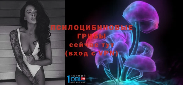 прущая мука Бородино