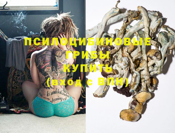 прущая мука Бородино