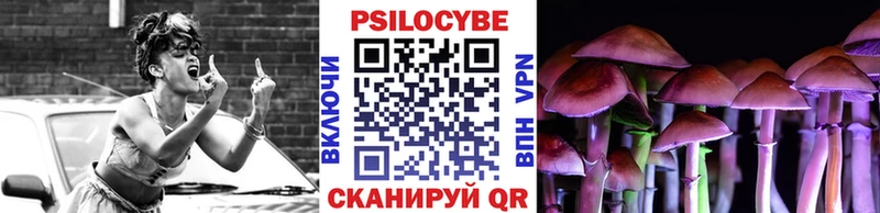 OMG как войти  Черемхово  Псилоцибиновые грибы прущие грибы 
